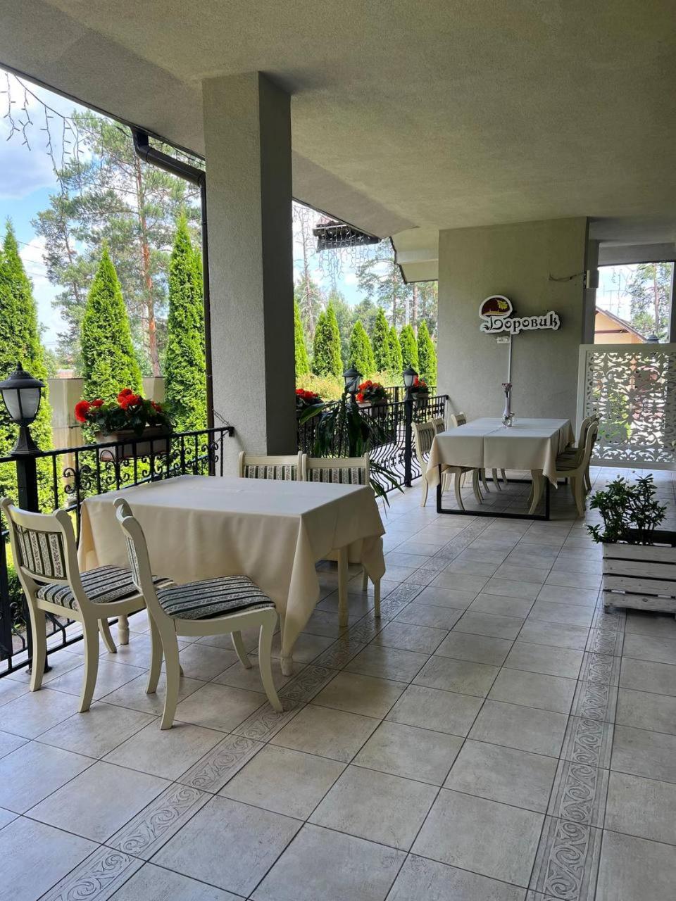 Borovik Hotel Novosilki Luaran gambar