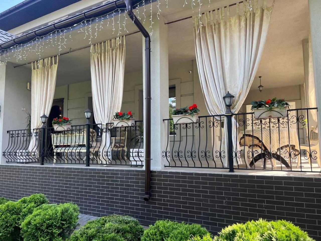Borovik Hotel Novosilki Luaran gambar